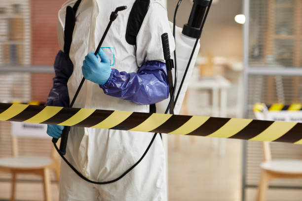 Professional Sewage Cleanup technician working in Hanover, MN